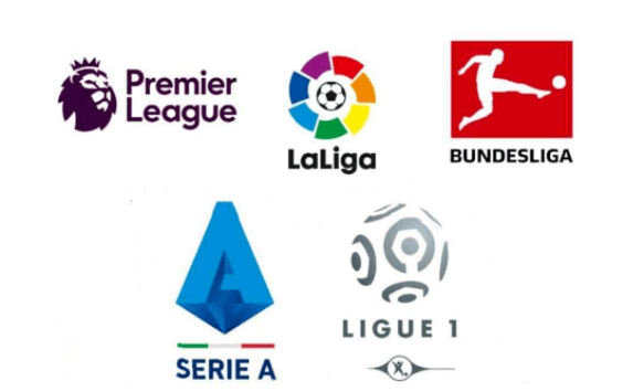 之姿夺冠 之姿夺冠